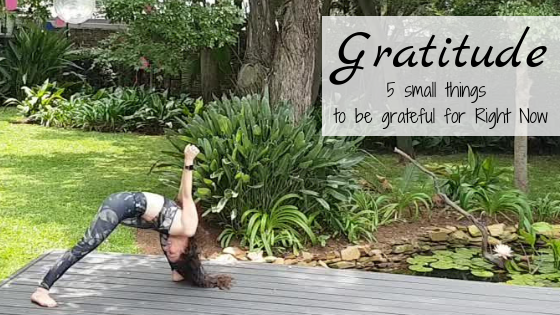 https://www.flashfitfab.com/gratitude-5-small-things-to-be-grateful-for-right-now/